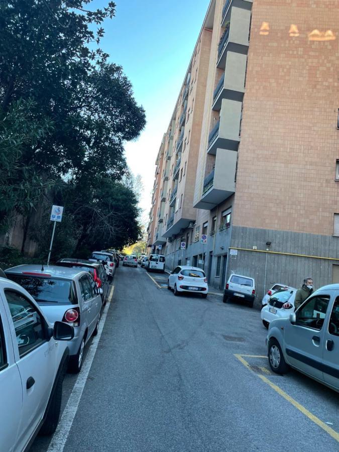 Dama Hub Two Roma
